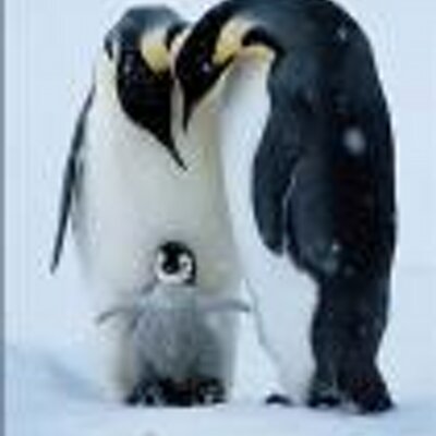 Michael Fait - Twitter Profile Picture of Michael Fait (@ProfMike) on Twitter