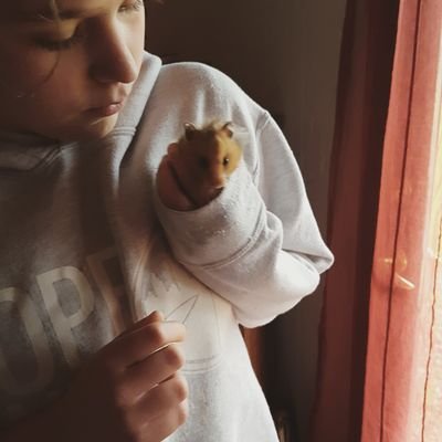 Mara Lambert - Twitter Profile Picture of Mara Lambert (@mebutterderp) on Twitter