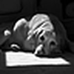 Jose Luis Cubillo Pastrana - Flickr Profile Picture of Jose Luis Cubillo Pastrana (@jl cubillo) on Flickr