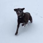 Profile Picture of Daniel Judd (@daniel.judd.549) on Facebook