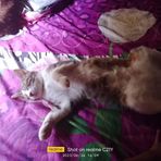 Profile Picture of Roy Jum (@Roy-Jum) on Facebook