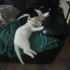 Profile Picture of Joye Leducq (@@joyeleducq) on Tiktok