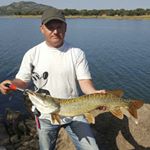 Profile Picture of David Antolin Espejo (@antolinespejo) on Instagram