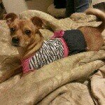 Profile Picture of candy :) (@candy_campos23) on Instagram