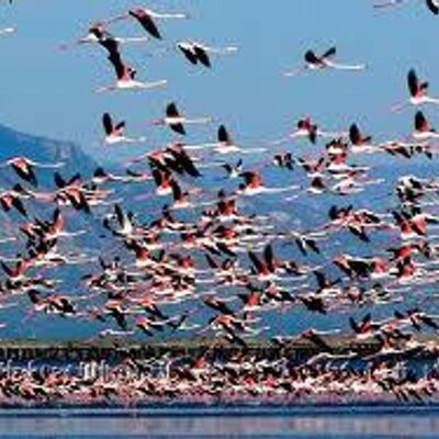 Profile Picture of Eric Albalat Bonet (@bonet_eric) on Twitter