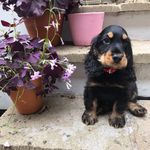 Profile Picture of Murphy (Björn) Campbell Trigg (@murphy.bjorn) on Instagram