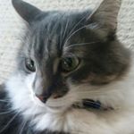 Profile Picture of max wozniak (@maxwozniak) on Instagram