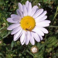 Profile Picture of Sandy Swanson (@sandy-swanson-10) on Quora