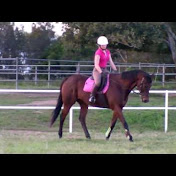 Profile Picture of Dani Hess (@dani1993shelly) on Youtube