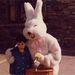 Profile Picture of Arun Ram-Mohan (@aruniverse) on Pinterest