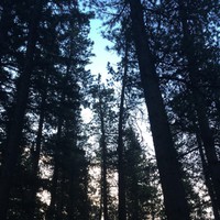 Profile Picture of Cassandra Lee Perreault (@cassandra-lee-perreault) on Quora