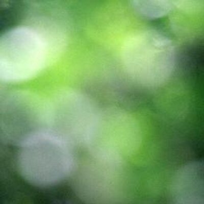 Profile Picture of Blanche Mackey (@MackeyPhoto) on Twitter