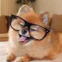 Profile Picture of Grayson Bryant (@grayson-bryant-6) on Quora