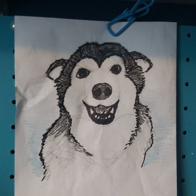 Profile Picture of Thomas Macari (@MacariThomas) on Twitter