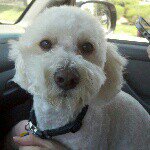 Profile Picture of joanie (@momjuhughes) on Instagram