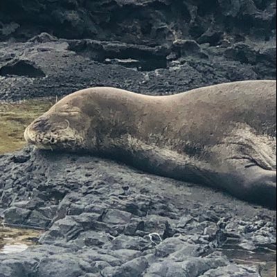 Frederick V Frazier - Twitter Profile Picture of Frederick V Frazier (@FrederickVFraz1) on Twitter