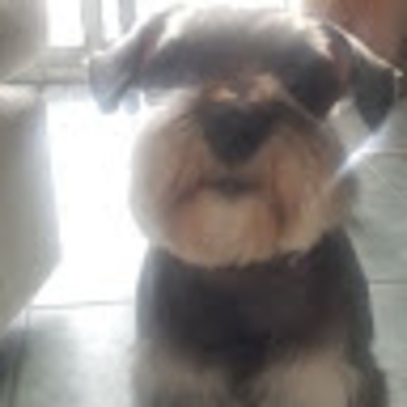 Profile Picture of Daniela Plascencia (@dee286) on Poshmark