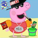 Profile Picture of shalimarscott (@official_shalimar_is_the_best) on Instagram