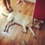 Profile Picture of Cliff Hodges (@clifford_almost_doing_things) on Instagram