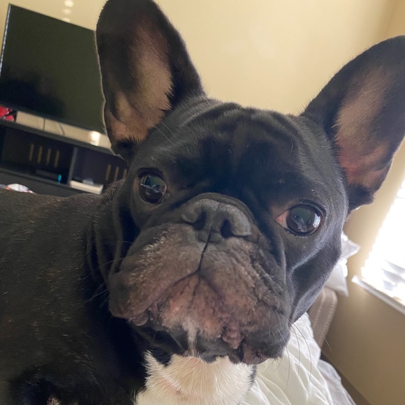 Shelley Primasing - Poshmark Profile Picture of Shelley Primasing (@cavalligirl05) on Poshmark