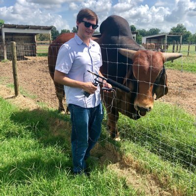 Profile Picture of Michael Marks (@michaelpmarks) on Twitter