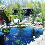 Profile Picture of Markus Graumann (@markus.graumann22) on Instagram