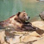 Profile Picture of Jeff Lovett (@jefflovett23) on Instagram