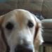 Profile Picture of Brad Dove (@brad.dove.1) on Facebook