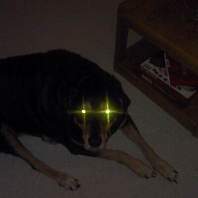 Profile Picture of Bob Dasher (@bobdasher) on Twitter