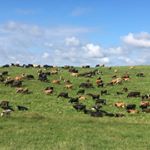 Brian Bylsma - Instagram Profile Picture of Brian Bylsma (@grass_is_greener_on_my_side45) on Instagram