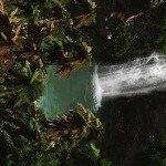 Profile Picture of Wickham (@uaeeglda93brad) on Instagram