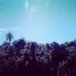 Profile Picture of Antone Beach (@mdogggreenbird) on Instagram