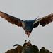 Profile Picture of Hassan Parsa (@hassan65parsa) on Pinterest