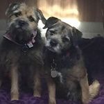 Profile Picture of Tony Shelley (@tony.shelley) on Instagram