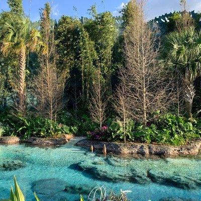 Profile Picture of JOE NUNN (@JOENUNN10) on Twitter