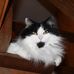 Profile Picture of Kathy Bachelor (@kathy.bachelor.3) on Facebook