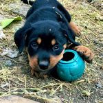 Jeff Maina - Instagram Profile Picture of Jeff Maina (@ndunyujeff) on Instagram