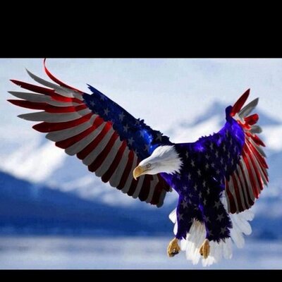 Profile Picture of Ernest Guest (@aNHnativeinFL) on Twitter