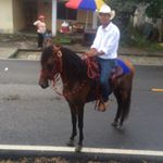 Profile Picture of Gustavo Wong Junior™ (@gustavoewong_j03) on Instagram