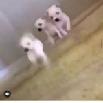 Profile Picture of Nancy Jayne (@9mpzg) on Instagram