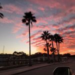 Profile Picture of Lore Ayoub (@pilates_on_snell_isle) on Instagram