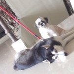 Profile Picture of Erik Lorenzo (@lorenzoerik777) on Instagram