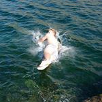 Peter Hebbel - Instagram Profile Picture of Peter Hebbel (@peterheb) on Instagram