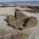 Profile Picture of André Laruche (@andrelaruche) on Instagram