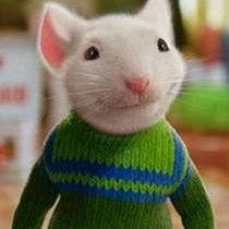 Profile Picture of Stuart Richman (@stuart.richman.9) on Facebook