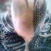 Profile Picture of James Podolski (@james.podolski.54) on Facebook