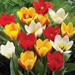 Profile Picture of Wood (@geof.freywoods) on Instagram