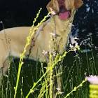 Profile Picture of   Moises Romero... (@moisesromero30) on Tiktok