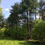 Matthew Hissa - Instagram Profile Picture of Matthew Hissa (@hissa.matthew) on Instagram