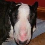 Leonard Windrush - Facebook Profile Picture of Leonard Windrush (@leonard.windrush) on Facebook